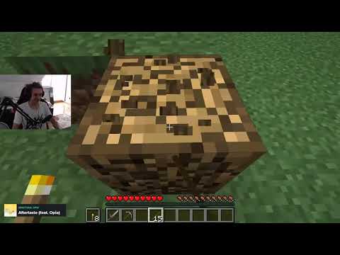 Zapis 20.08.2019 - Eleven, Zeron - Minecraft
