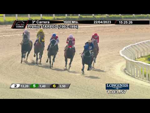 230422 c03 LATTE MACCHIATO (BRZ)