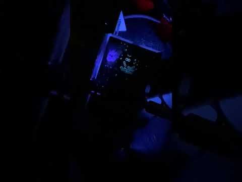 Fulltone OCD V2 2020 GM - Sounds like V1.2! (SEE VIDEO and description) image 11