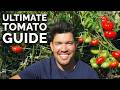 EVERYTHING I Wish I Knew When I Started Growing Tomatoes