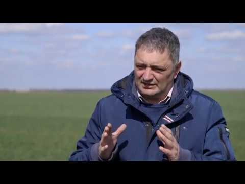 Zaštita strnih žita od bolesti i korova - Priaxor® i Biathlon® 4D