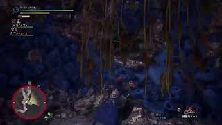 ［MHW］痕跡集め