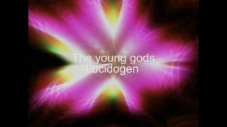 The young gods - Lucidogen.mpg