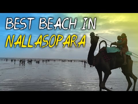 Best Beach In Nallasopara😍 | Kalamb Beach 🏖 | Abey Devesh!