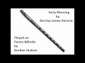 Early Morning played on Penny Whistle - tin whistle ...