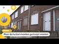 Zeldzame vleermuizen willen niet verhuizen