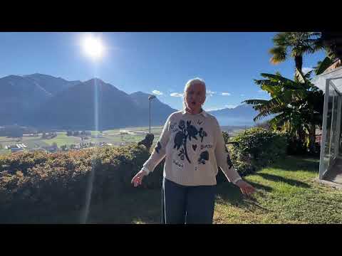 Agarone - Detached holiday home in top condition with fantastic panoramic views of Lake Maggiore