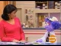 Sesame Street Lulu Wants To Be A Letter Carrier