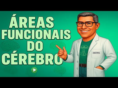 Functional areas of the telencephalon #neurology #anatomy #neuroanatomy #neuroscience #neurology