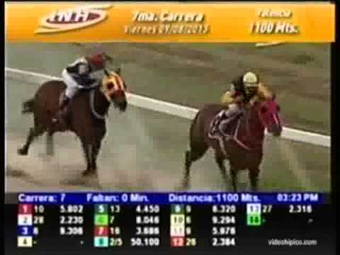 Resumen Viernes, 09 de Agosto de 2013 - Valencia