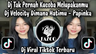 Download lagu DJ DIMANA HATIMU - PAPINKA / DJ TAK PERNAH KUCOBA MELUPAKANMU VIRAL TIKTOK TERBARU 2025  !!!  mp3