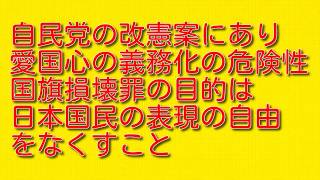【自民党の改憲案にあり愛国心の義務化の危険性】国旗損壊罪の目的は日本国民の表現の自由をなくすこと