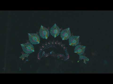 Habeas Corpus  -  Festival High Paradise 2019 (Aftermovie)