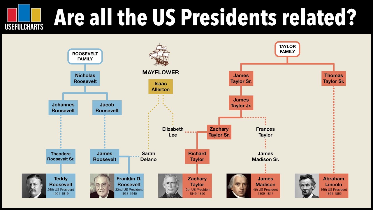 Are all the US Presidents related?