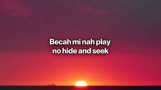 Sia - Cheap Thrills (Lyrics) ft. Sean Paul Happy Hardcore