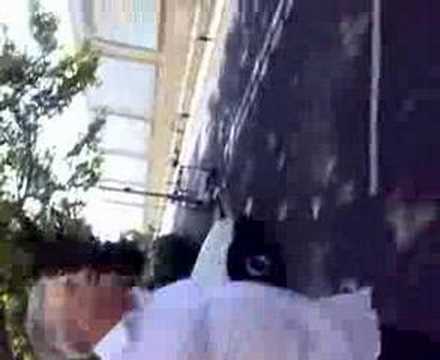 NEW KIMBO SLICE LEWISKIMBOWATTS VS COOKIE