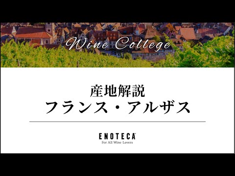 ポッジョ・カティーノについて詳しく解説