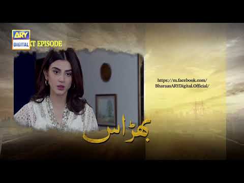 Bharaas Episode 41  - Teaser - ARY Digital Drama