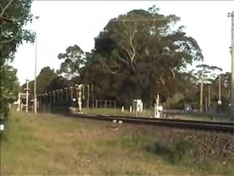 31.10.09 7SA8, 3128, 2533 at Mittagong