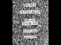 The Dream Syndicate - Mr Soul (Buffalo Springfield) 1982