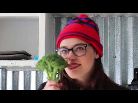 Vegans - Heathen's Parody