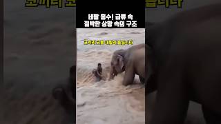 유튜브 썸네일