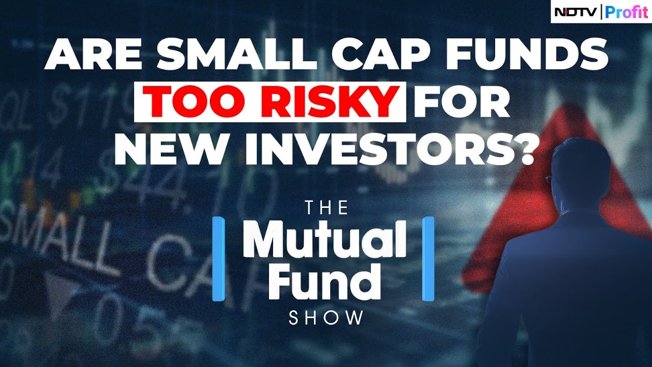 Small Caps Or Large Caps: Which One Is Better? | The Mutual Fund Show