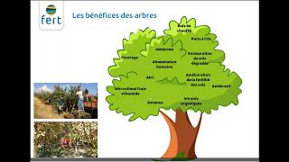 Webinaire 25  | Service reboisement et agroforesterie : Apprentissages croisés Madagascar - Kenya