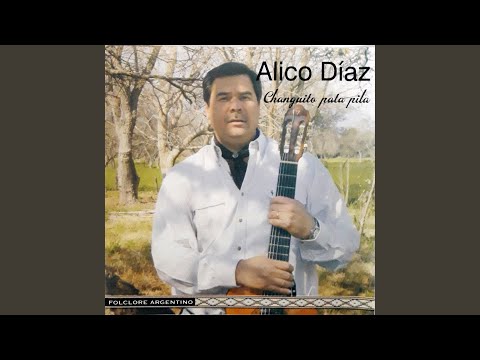 Mendoza En Mi Guitarra - Alico Díaz