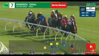 為香港馬王嘉應高昇歡呼拍掌，舉手致敬#嘉應高昇 #賽馬直擊