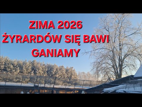 ATAK JASTRZĘBIA I PO GOŁĘBIACH 2026 ŻYRARDÓW 