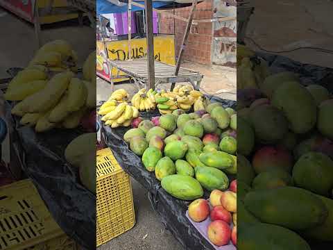 feira livre de Taquarana Alagoas