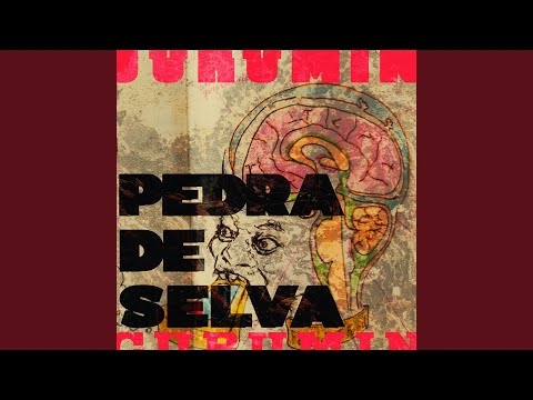 Mexerica Mineira - Curumin