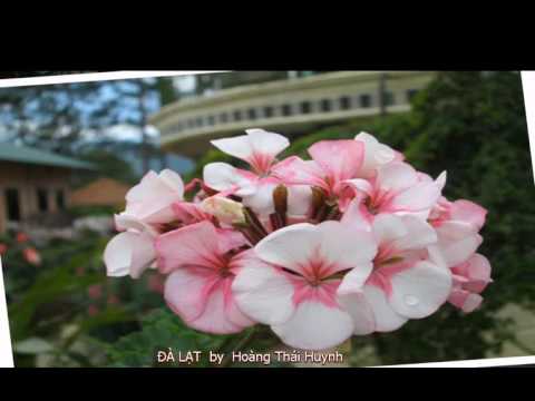 khep lai chuyen tinh - ngochuong