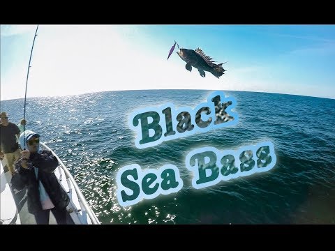 download lagu mp3 mp4 The Ocean Explorer, download lagu The Ocean Explorer gratis, unduh video klip The Ocean Explorer