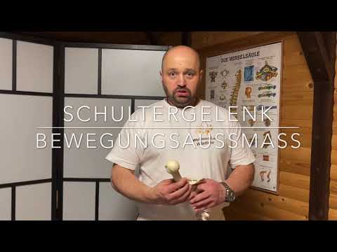 Schultergelenk - Articulatio humeri. Wladimir Los