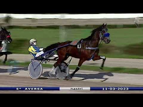 Aversa trotto 11 Marzo 2023 - 5° Corsa