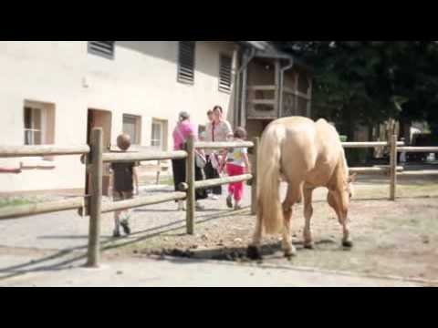 Immobilienmakler Stuttgart - Verkauf und Vermietung.avi