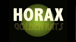 Horax-After hurricane