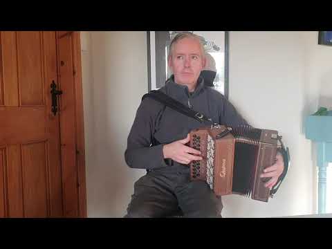 Quinn 23x 8 2 voice Accordion