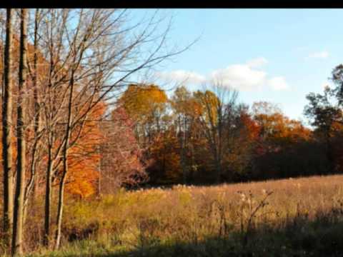 Relax to the Bible - Psalm 31