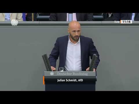 Julian Schmidt, AfD
