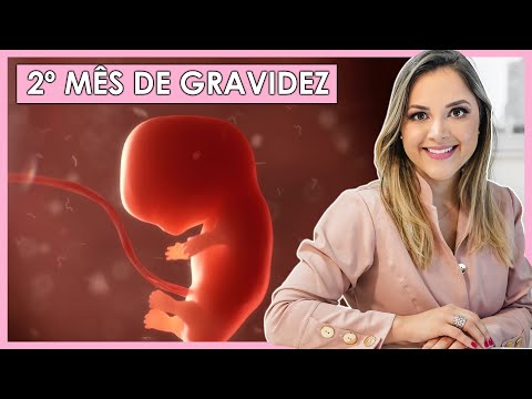 2 MESES DE GRAVIDEZ  Semanas 5, 6, 7, 8 e 9