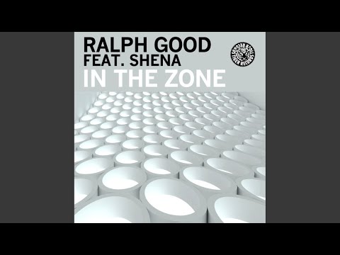 In the Zone (David Jones Remix Edit)