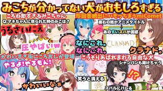 【くっそ〜！】正答率最下位すぎる笑神ころねが珍回答に３Dボケにと大暴れするも"みこにどう思われてるか"の問いに自ら"天才…？"と言わされ叫び散らかす"みこ全く分かってない王"【さくらみこ／戌神ころね】