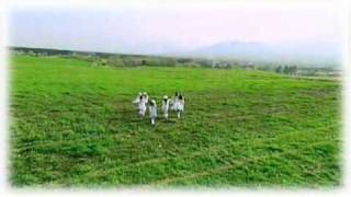 【歌ってみた】 輝け!プロ 『初めての輝けキス』(3/7)