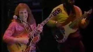 Larry Carlton - Springville