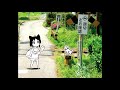 orange cake mix - feel your love
