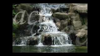 Reign Down Peace - Portico77