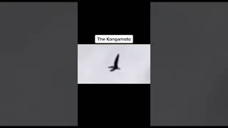 Mythical Creatures Caught On Camera #shorts #mythical